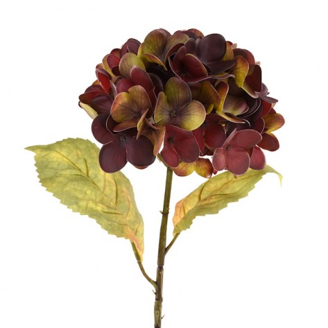 HORTENZIJA GRANA 57,9CM BORDO/ŽUTA DKO