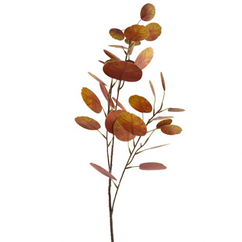 EUKALIPTUS GRANA 81.3CM NARANČASTA DKO
