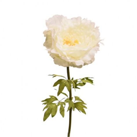 BOŽUR VELIKI D60XH135CM KREM DKO