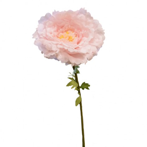 BOŽUR VELIKI D60XH135CM ROZA DKO