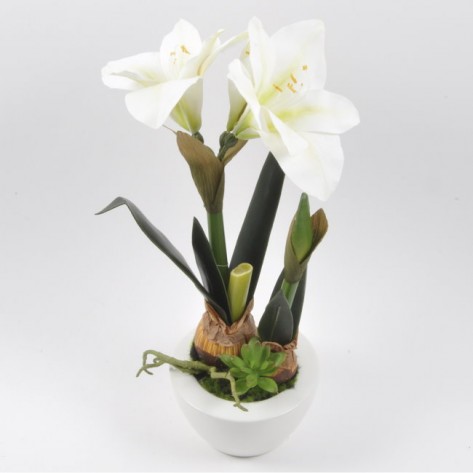 AMARILIS X2/42CM U BIJ. VAZI BIJELI DKO