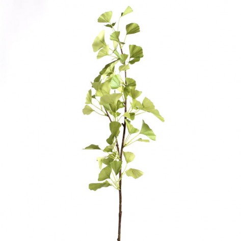 GINKO GRANA 104CM ZEL. DKO