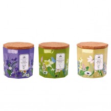 SVIJEĆA U POSUDI STAKLO 8X8CM 3 BOJE MAK