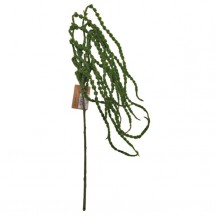 ZELENILO VISEĆE MAK