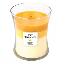 SVIJEĆA WW TRIL.MEDIUM FRUITS OF SUMMER LIV