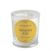 MATHILDE SVIJEĆA LES INTEM.65G MIMOSA JOLI