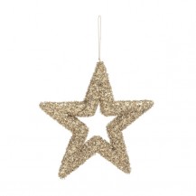 ZVIJEZDA ANGELICA CHAM. ZA OBJ. M BIZ