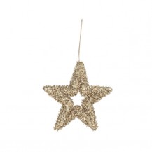 ZVIJEZDA ANGELICA CHAM. ZA OBJ. S BIZ