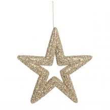 ZVIJEZDA ANGELICA CHAM. ZA OBJ. l BIZ