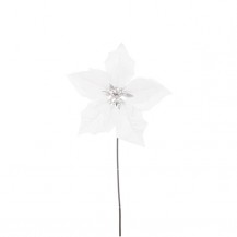 BOŽIĆNA ZVIJEZDA FLORIS H45 BIJ. BIZ