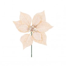 BOŽIĆNA ZVIJEZDA JANEL H22 CHAM. BIZ