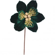 MAGNOLIJA ASTERIA 18X25H ZEL. BIZ
