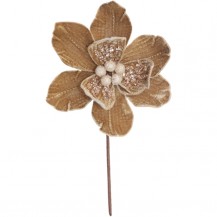MAGNOLIJA ASTERIA 18X25H BISC. BIZ