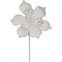 MAGNOLIJA ATHENA 18X25H BIJ. BIZ