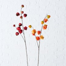 PHYSALIS GRANA H90CM SORT BOL