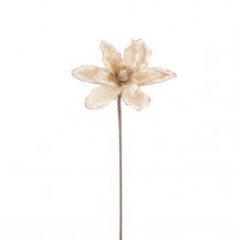 MAGNOLIA NA ŠTAPU H62CM CHAM. EDE