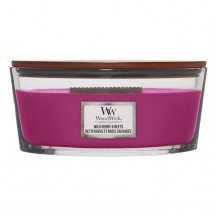 SVIJEĆA WW CLASS.ELIPSE WILD BERRY&BEE 1632290ELIV