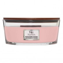 SVIJEĆA WW CLASS.ELIPSE PRESSED BLOOMS&PATCH LIV