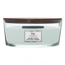 SVIJEĆA WW CLASS.ELLIPSE SAGEWOOD & SEAGRASS LIV