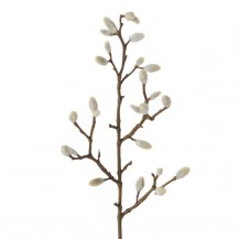 GRANA UKRASNA WILLOW BOL