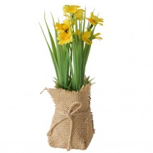 CVIJEĆE U TEGLI HARMONY H20CM SORT BOL