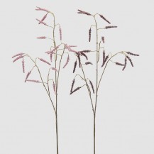 TAMARICE GRANA H100 PINK SORT EDG