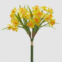 NARCISI BUKET SA LISTOVIMA H38 ŽUTI EDG