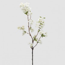 TREŠNJA GRANA H90 BIJ. EDG