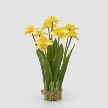 NARCISI BUKET SA LISTOVIMA H41 ŽUTI EDG