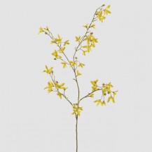 FORZICIJA GRANA H150 ŽUTA EDG