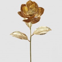 MAGNOLIA GRANA SA LIŠĆEM H74 D20 ZL. EDG
