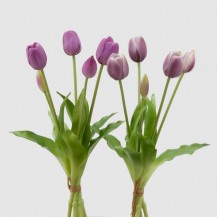 TULIPAN BUKET OLIS H40 LILA EDG