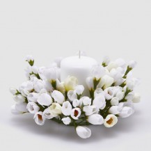 VIJENAC CROCUS-MIX D21 EDG