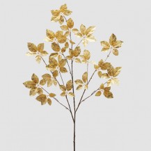 GRANA BUKVE H137 ZLAT. EDG