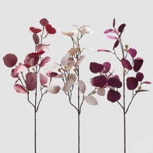 EUKALIPTUS GRANA H90 PINK SORT EDG