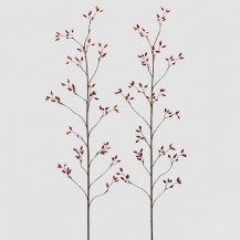 DIVLJA RUŽA GRANA H150 CRV. SORT EDG