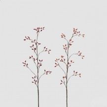 DIVLJA RUŽA GRANA H115 CRV. SORT EDG