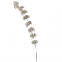 GRANA IRSKI ZVONČIĆ SA ŠLJOKICAMA H100 JOL