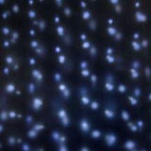 VRTNI LED PROJEKTOR SNJEG EFEKT LOT