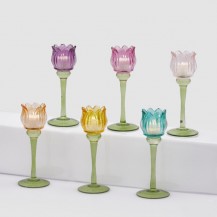 SVIJEĆNJAK TULIP H22 D8,5 SORT EDG