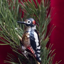 PTICA DJETLIĆ NA ŠTIP. 8CM  WER