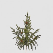 GRANA CRYPTOMERIA H44 ZEL. EDG
