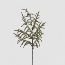 GRANA CRYPTOMERIA H44 ZEL. EDG