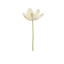 UMJETNI CVIJET LOEK H120 ZEL./KREM LIG