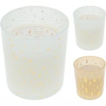 SVIJEĆA U STAKLU 8X10CM SORT KOOP