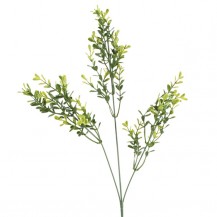 EUKALIPTUS GRANA X3 62CM DKO