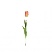 TULIPAN 64CM NARANČASTI DKO