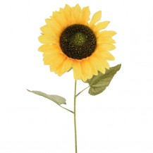 SUNCOKRET GRANA 70CM ŽUTI DIA 20CM DKO