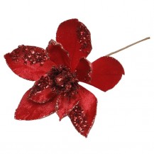 MAGNOLIJA D14CM CRV. (6) 1KOM DKO