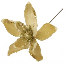 MAGNOLIJA D14CM ZLAT. (6) 1KOM DKO